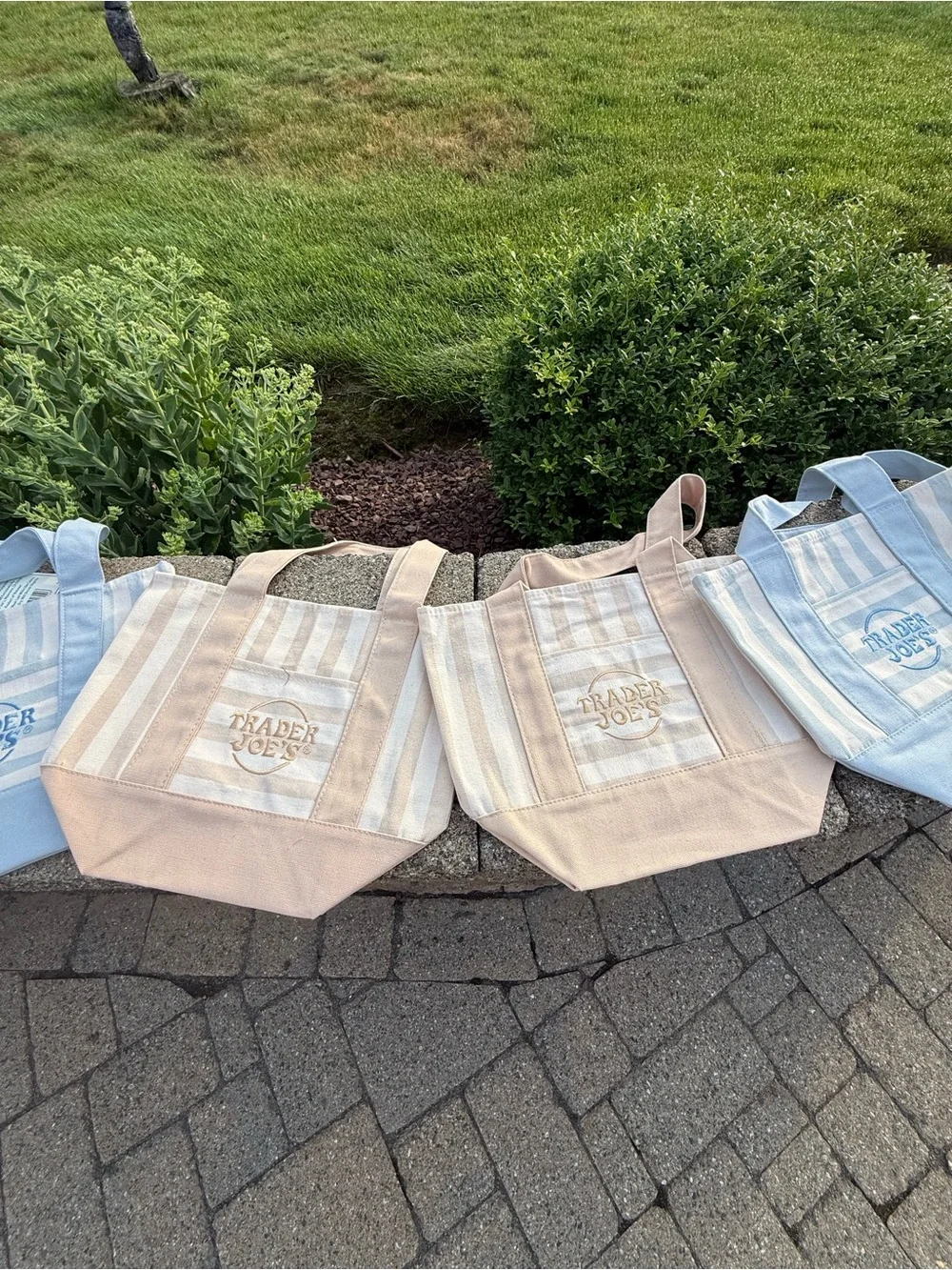 Trader Joe's Set of 4 Striped Canvas Tote Bags - Blue & Beige - Picture 5 of 5